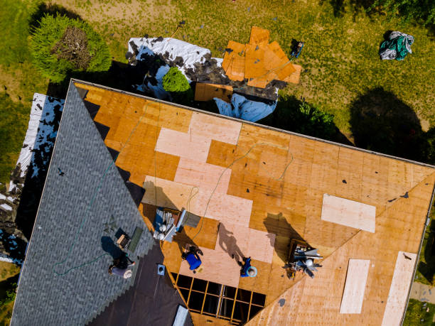 Best Metal Roofing Contractor  in Lake Goodwin, WA
